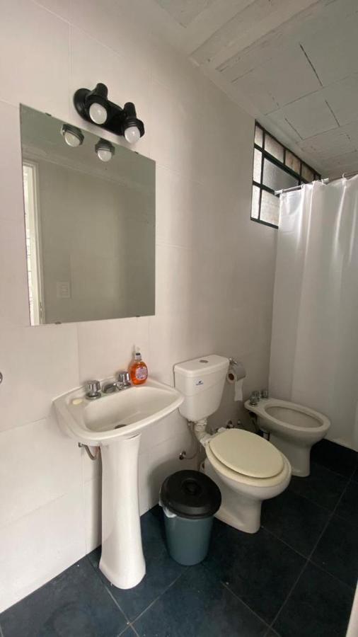 La Casa Del Loro, San Telmo - 8 Habitaciones Buenos Aires Buitenkant foto